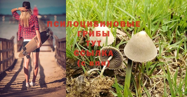крисы Богородск