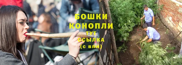 крисы Богородск