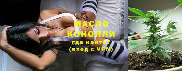 крисы Богородск